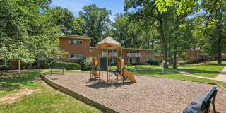 Glenmont Forest Gallery 41