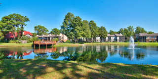 TimberLake Gallery 28