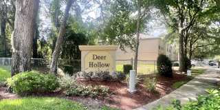 10542 Autumn Trace Road Gallery 64