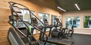 ReNew Dash Point Gallery 48