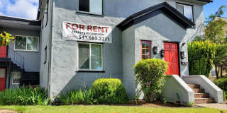 441e13 Gallery 1