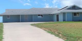 Paio, Nainoa Gallery 1