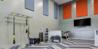 Paradise Island Gallery 31