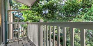 White Water Creek Gallery 12