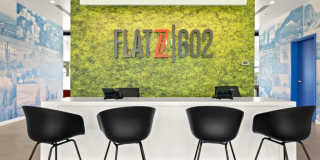 FLATZ 602 Gallery 50