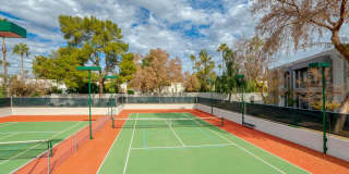 5225 N 24th St #105 Phoenix, AZ 85016 Gallery 10