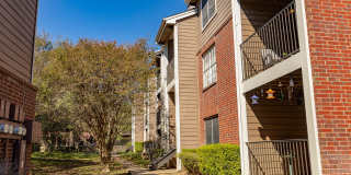 The Orion The Orion Gallery 36