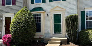 1874 TIGER LILY Circle Gallery 1
