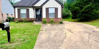 9453 Wickfield Cove Olive Branch, MS Gallery 1