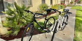 55459 Tanglewood Gallery 26