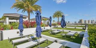 Avida Aventura Gallery 15