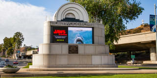 Sunset and Vine Sunset and Vine Gallery 40