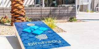 Birchway Tropicana Gallery 12