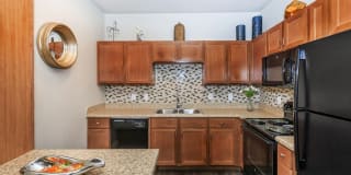 Roots at Waco Gallery 5