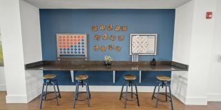 Mosaic at Lake Toho Gallery 11