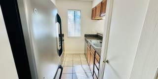 Ground Floor 1BR Condo with Private Yard in South Austin Gallery 13