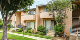 Olive View Gardens Olive View Gardens Gallery 13