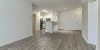 The Saulet Gallery 7