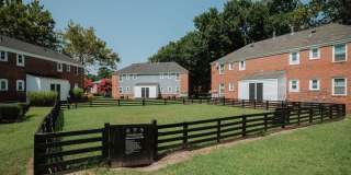 Verve 261 Gallery 29