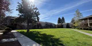 Native Sun Gallery 19