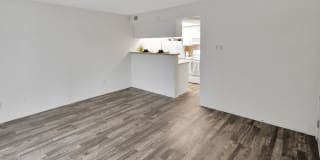 Canyon Creek Gallery 28