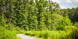 Toftrees Apartments Gallery 39