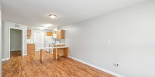 131 Nevada Avenue - 323 Gallery 1