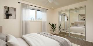 Pinewood Terrace Gallery 5