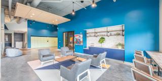 The Baxly Gallery 29