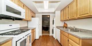 The Worthington Gallery 6