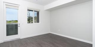 Ocean Creek Gallery 26