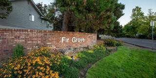 Fir Grove Gallery 1