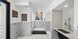 Vasari at Ventana Gallery 86