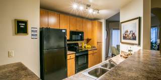 Finisterra Luxury Apartments Gallery 7