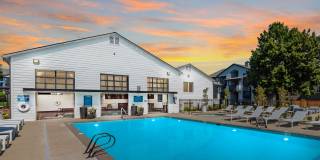 Lumina Apartments Gallery 48