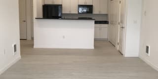 The Monika Gallery 3