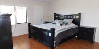 Condo in East Lake Woodlands Gallery 10