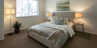 Spencer 68 Gallery 45