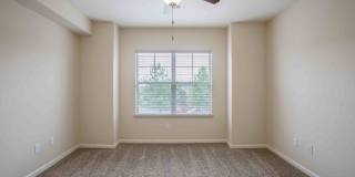 Commonwealth at 31 Gallery 30