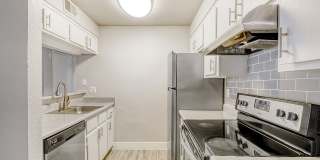 Rise Skyview Gallery 42