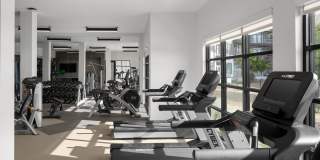 The Markson Gallery 43