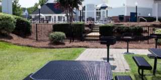 Coffey Creek Gallery 19