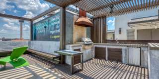 Agave Gallery 51
