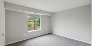 Grove at Alban Gallery 29