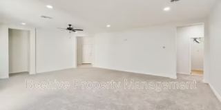 2927 N Augustine 2927 N Augustine Gallery 14