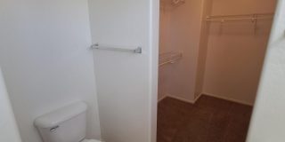 42776 W CAMINO DE JANOS Gallery 9