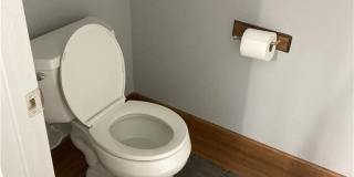 7020 Albatross Attic Street Gallery 53