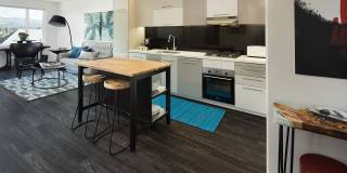 Aquatic Higby Gallery 8