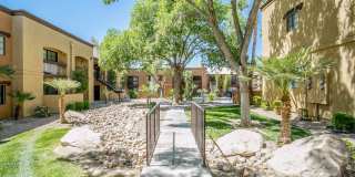 Desert Ridge Gallery 3