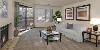 Western Terrace Gallery 20